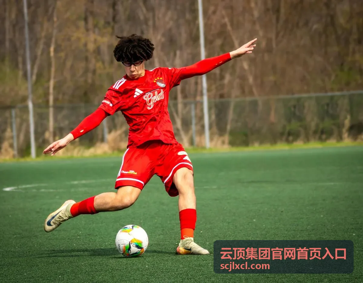 云顶集团平台服务界面示意